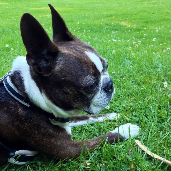 Ba26ef77 e7af 44ac bcc1 8b1e678125d6