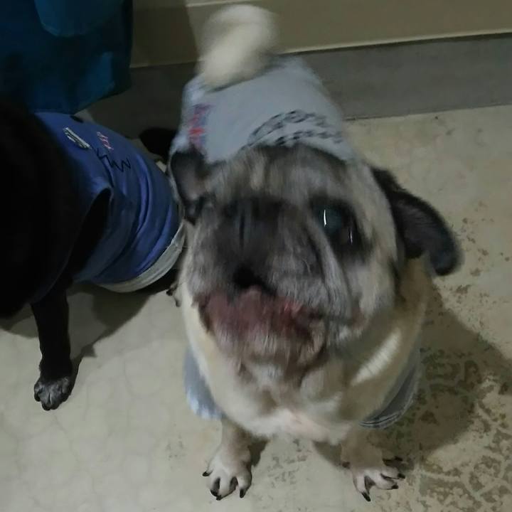 Ba2700cb dfc0 443a a5c3 c85774ef003b