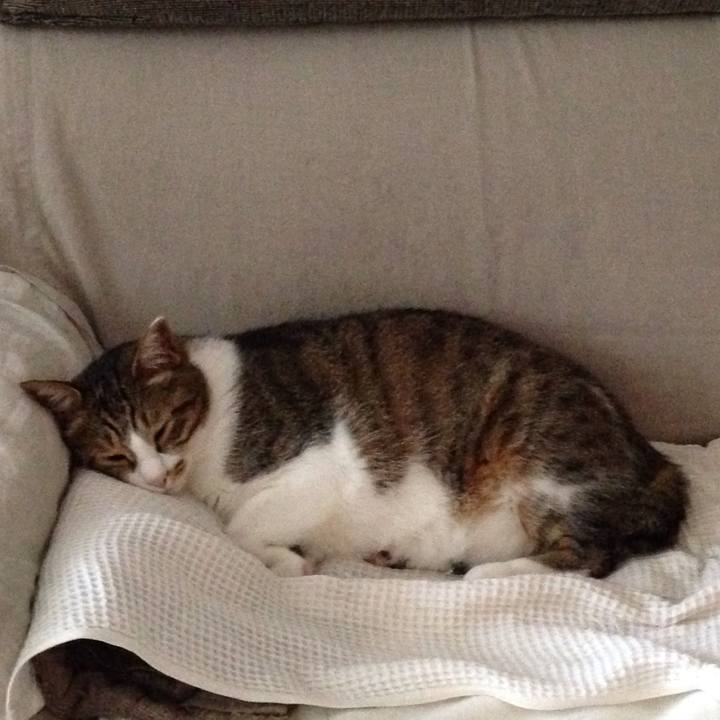 Ba27b857 5d6b 4491 9f05 2a20021a30a3