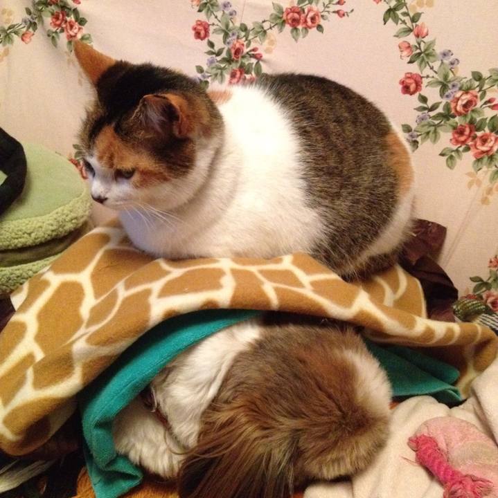 Ba2833b8 1bb2 45e9 b00e f6d233c1e467