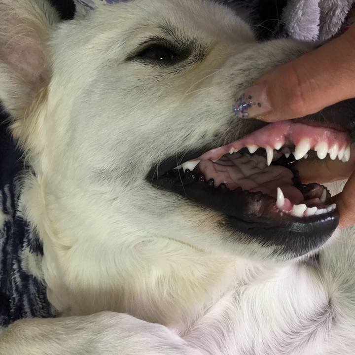 Ba289706 3286 44fd be11 eb8b00a64483