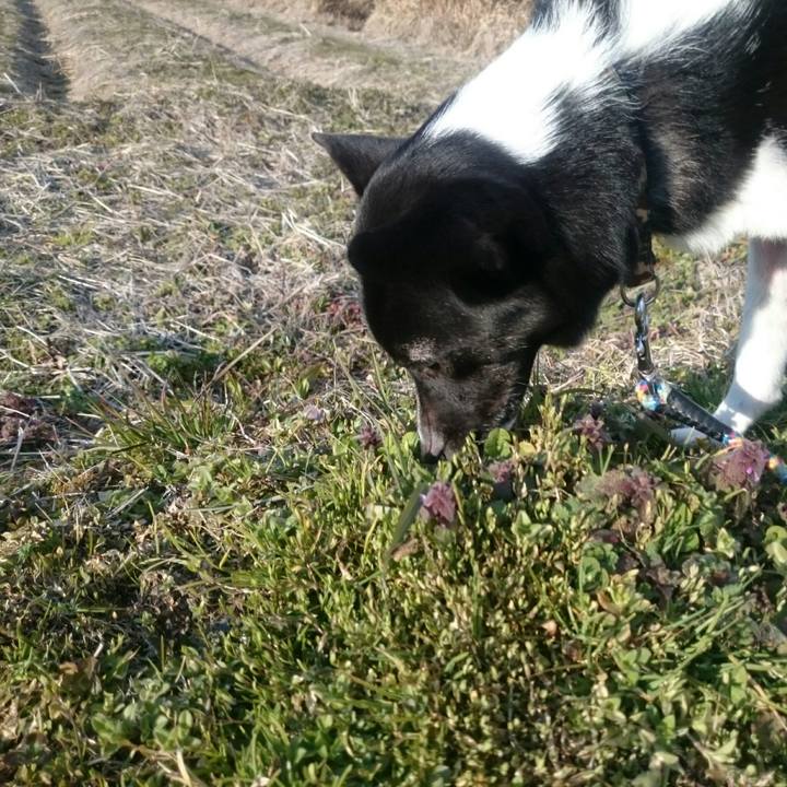 Ba289b7a 36b9 4586 83bf 85989b81a859