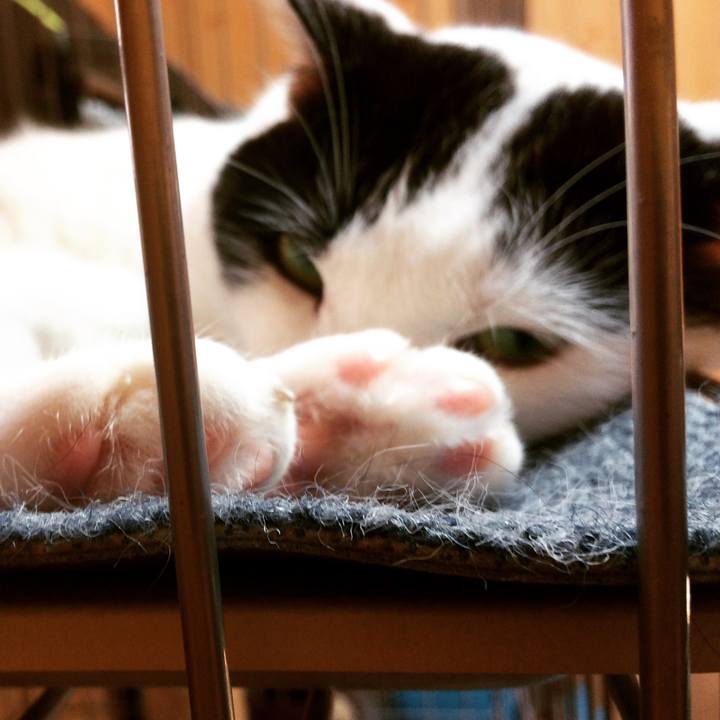 Ba289d97 9c6e 4c09 90b9 1e07147326e5