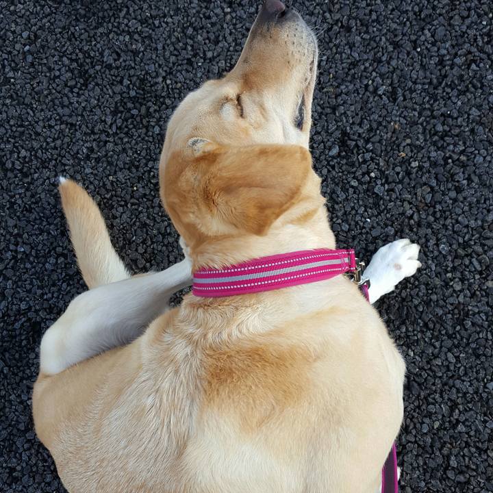 Ba2a495e 072a 4121 96c1 9813b0b6941a