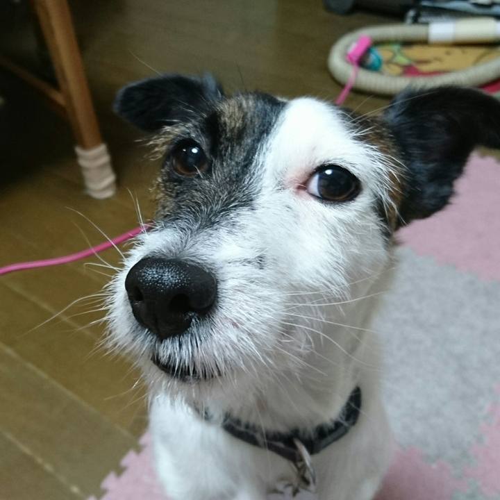 Ba2b5326 99f4 4a52 9bbe e21e4ddca8ee