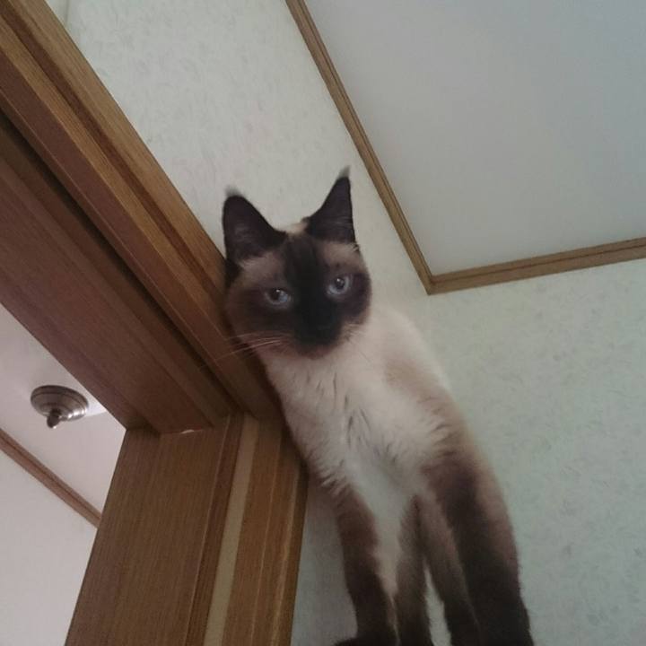 Ba2d40a6 cc15 4c11 8a40 3bad5ed3762e