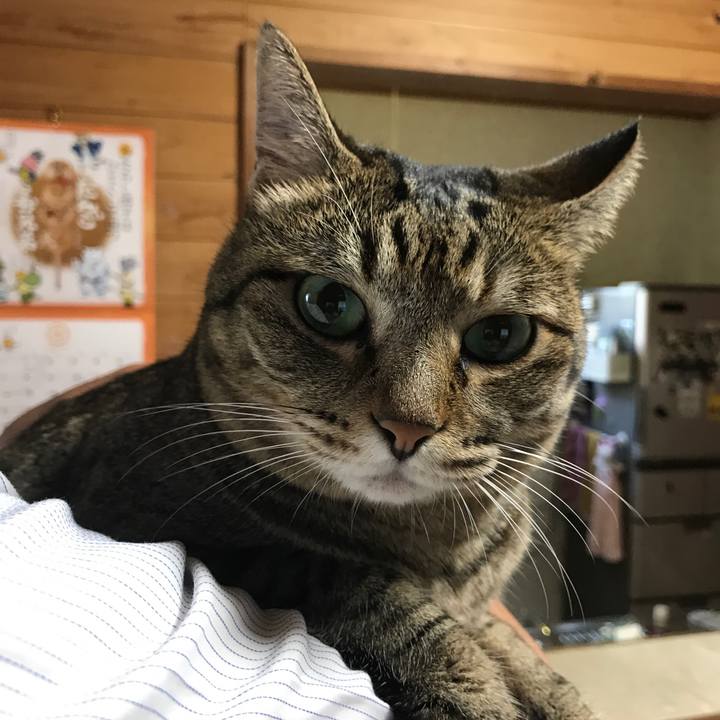 Ba2d5d93 bd88 41dd a998 313ac7aebfb7