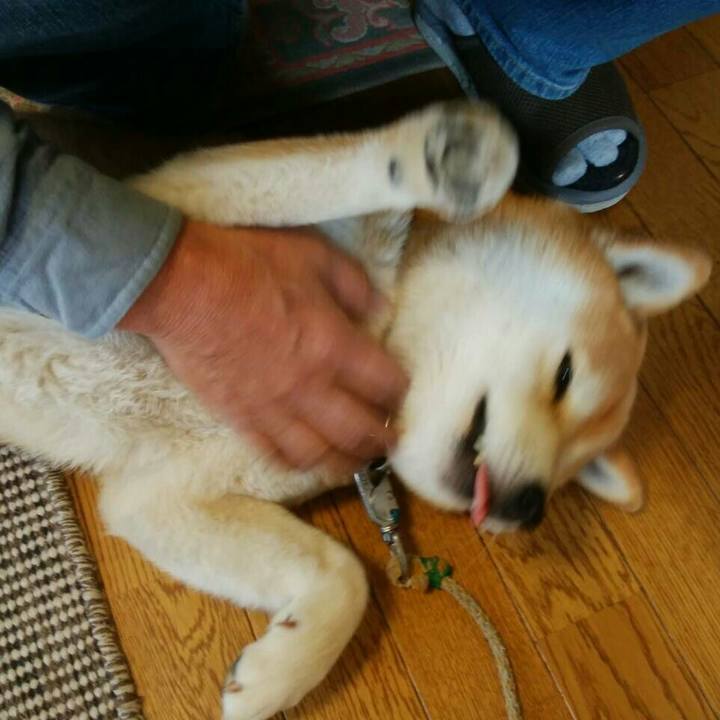 Ba2d680c e6be 4a6f 844b 6547931872ff