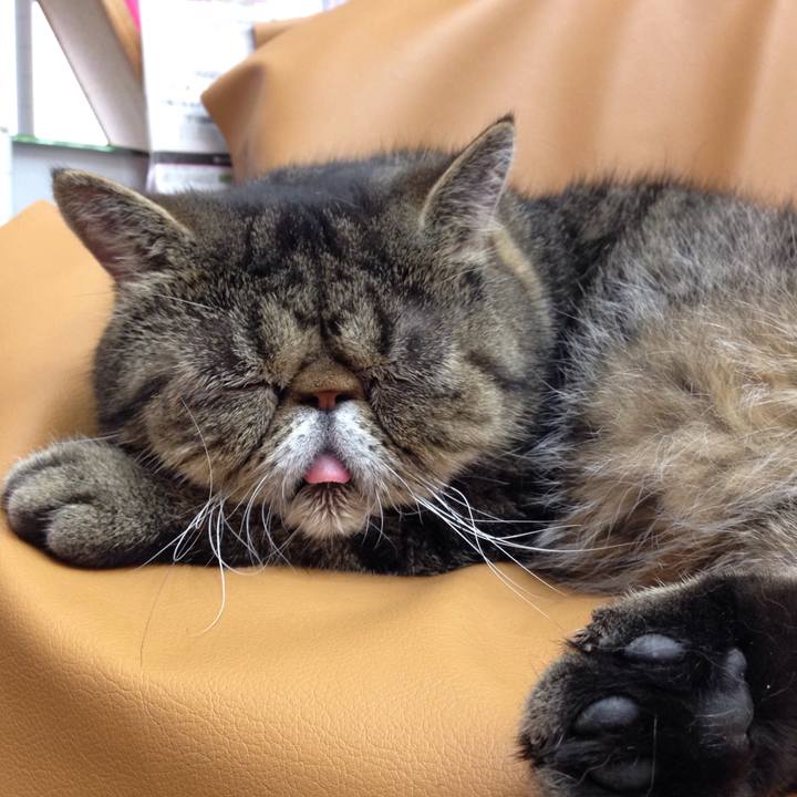 Ba2db10c 9ef9 47f8 bab7 391bef443f3d