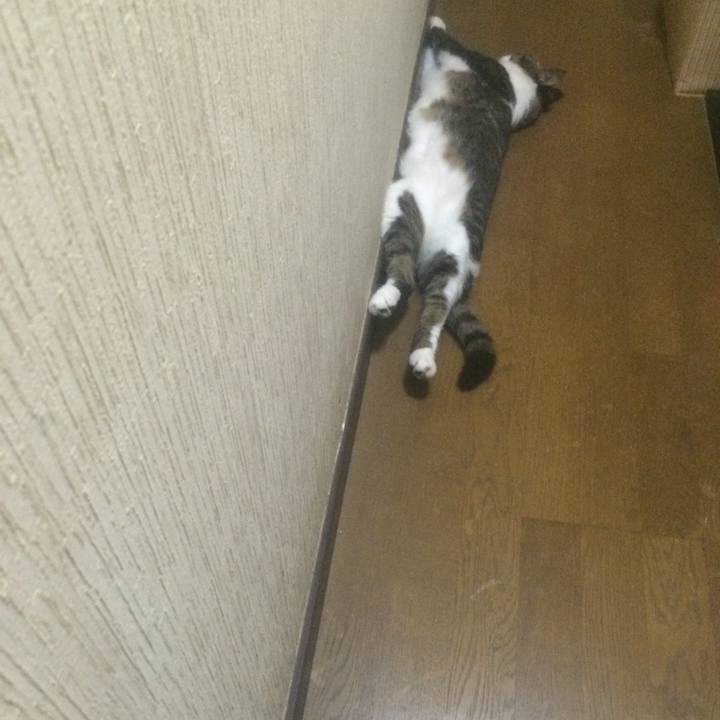 Ba2dcfd8 9944 492e bad9 d2fdd3a2877b