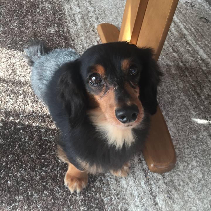 Ba2e5b20 fdb6 4e89 9b9f fa93a6c0fb06