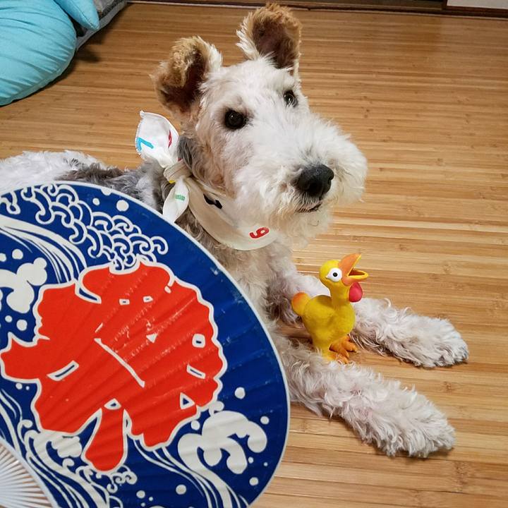 Ba2ed2bc fb65 4d24 92de 005e628c05a1