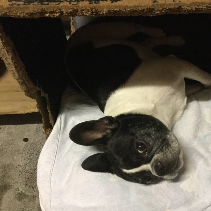 Ba2f8f24 4088 485b b61f f6c17daa6f16