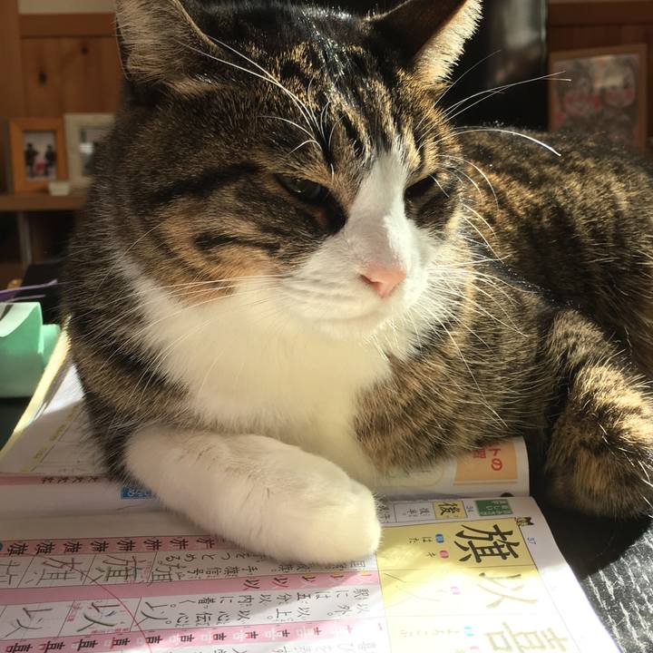 Ba2fe7d1 4ceb 465f 8e29 fc9b47a32048