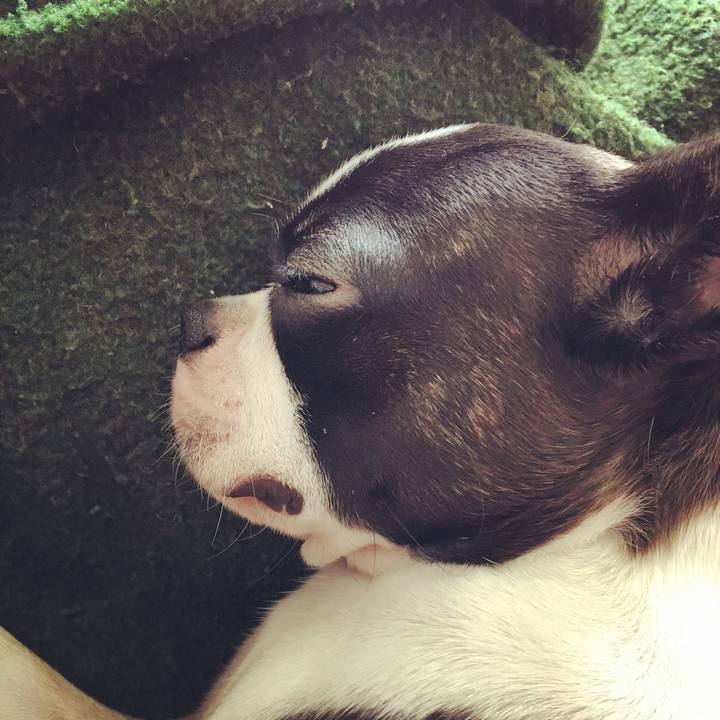 Ba30c970 7d3f 4dec a09a c84ec2375bf6