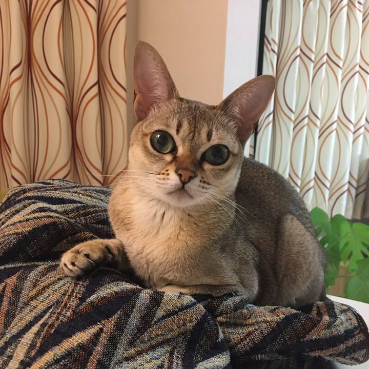 Ba328a21 032e 4d2f b26d 7d32e5dde226