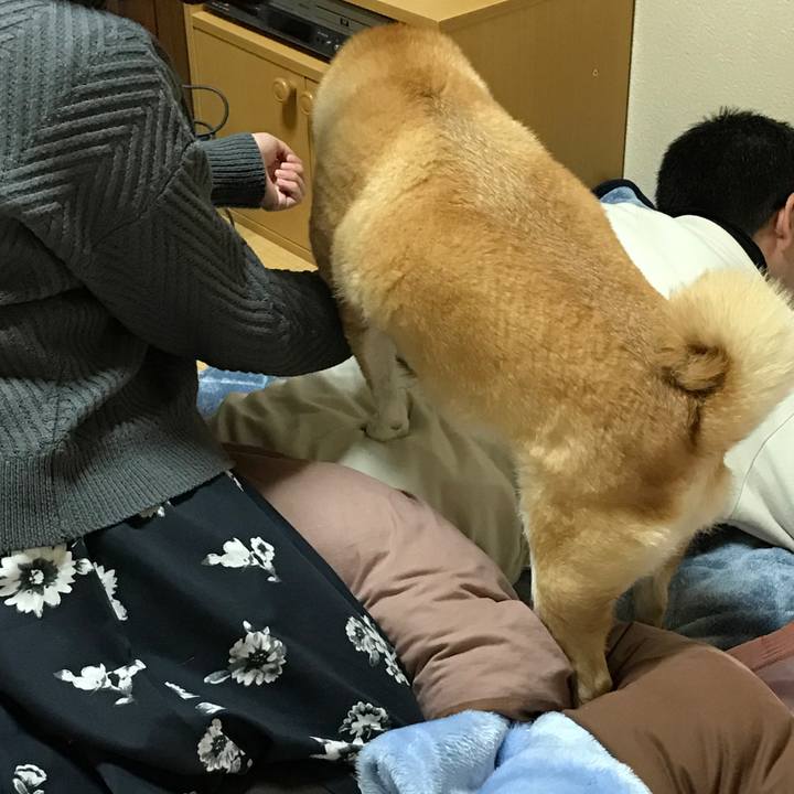 Ba32a5fa c70b 43fd bc2c e0f1b69895a5