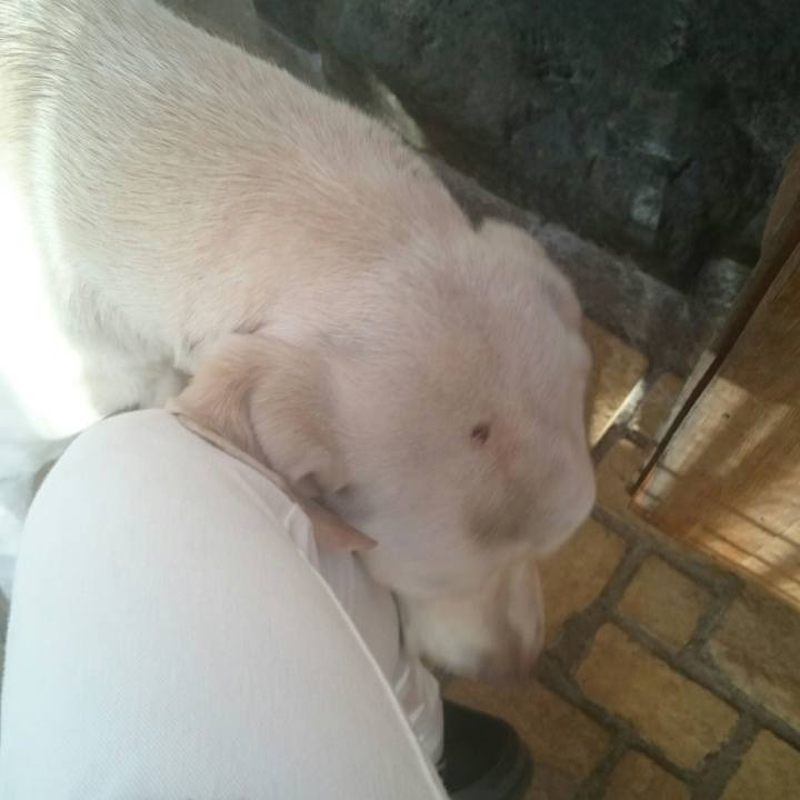 Ba32d082 9c1a 4ee9 9c28 b674ace6aa45