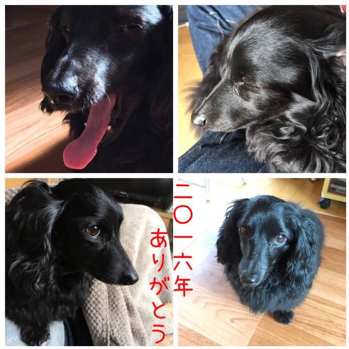 Ba332087 a3e6 4eec a31f 056e6142f08a