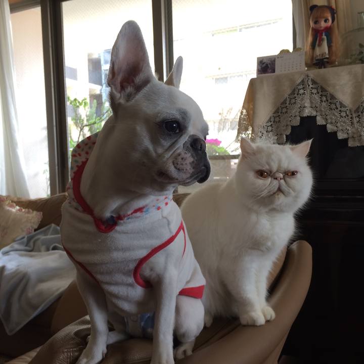 Ba333563 0041 491a 8946 8e1503938307