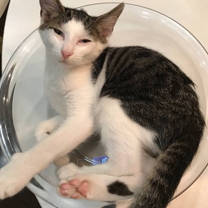 Ba33e039 626f 4680 98d1 96f98d3d0a0f