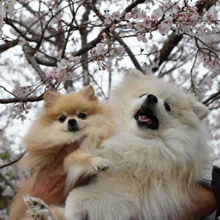 Ba343a2d 5661 4243 b401 b5126776a1e7