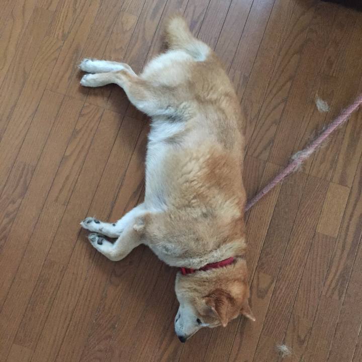 Ba345a3c 11a9 4c22 bbbe f9475df6495c