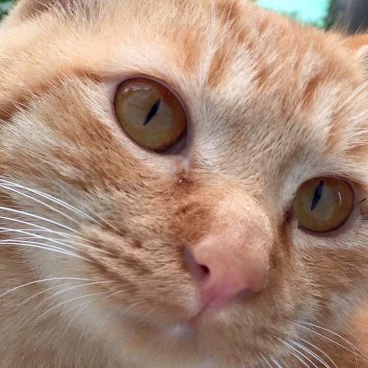 Ba348d2f e26d 4243 9825 52bfb06d9ab4