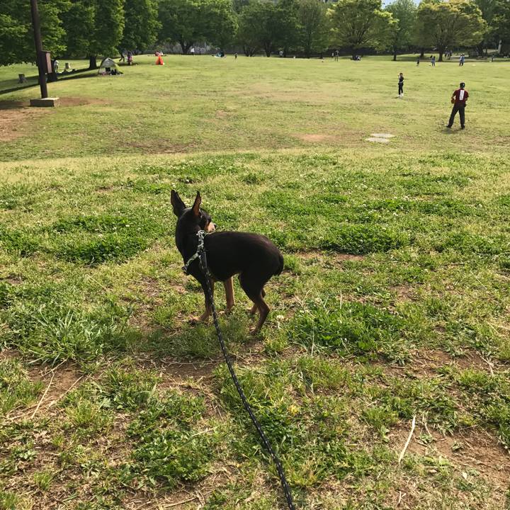 Ba34bff1 7012 4926 b32d 75af35e4cb12