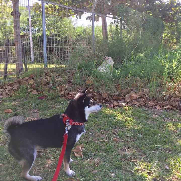 Ba3517cd 8c44 42d8 bb5a 3e29ee49ada0