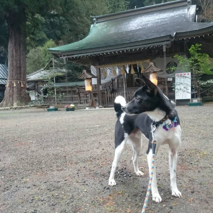 Ba3561fb 2261 49a4 8d86 33e0e1856089