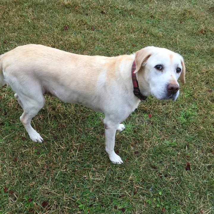 Ba3564a5 6e6e 44d0 935e 06851a68c6ed