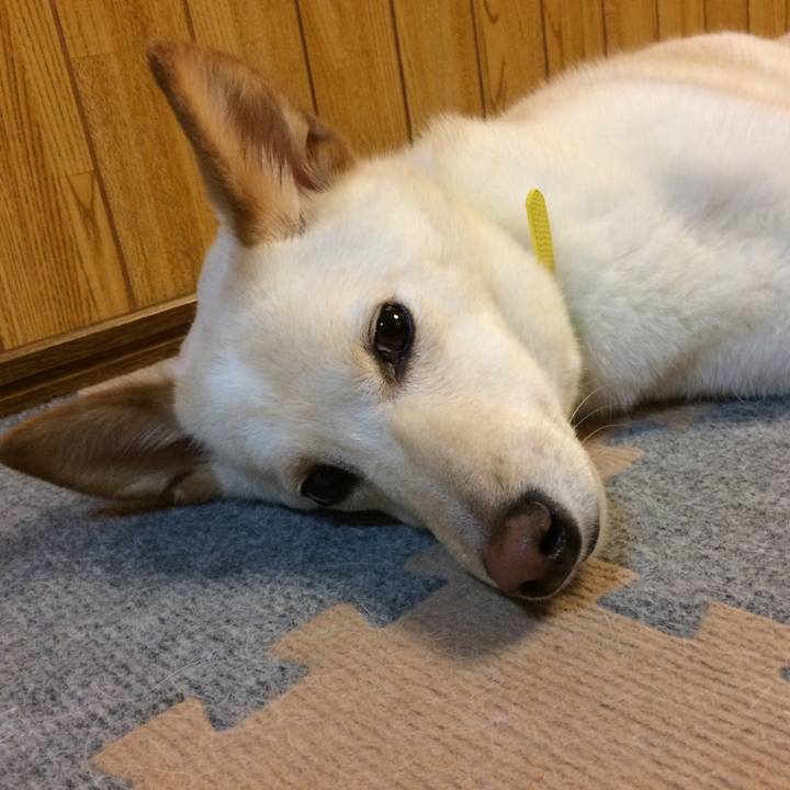 Ba357586 cd09 479e b2eb 0e7f233b129c