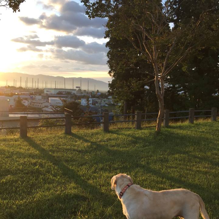 Ba3579b1 b77a 49df a771 21d372b31be2