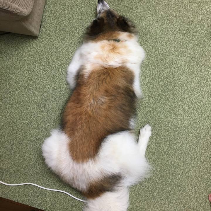 Ba35ca1b 6152 4127 bc9d 8144672f1008