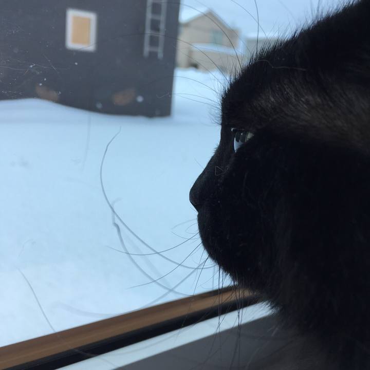 Ba36e29f 46f4 4f77 90f5 cf3804db6d66