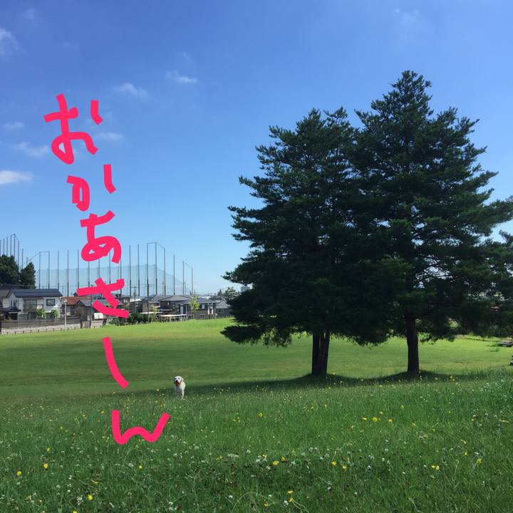 Ba36fb31 b1df 45a8 ab5c eb7ce5a4d6db