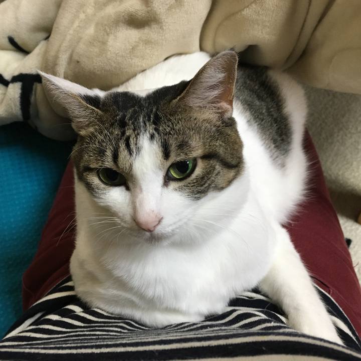 Ba39309a 7bfc 4950 8159 1c4caba8c68e