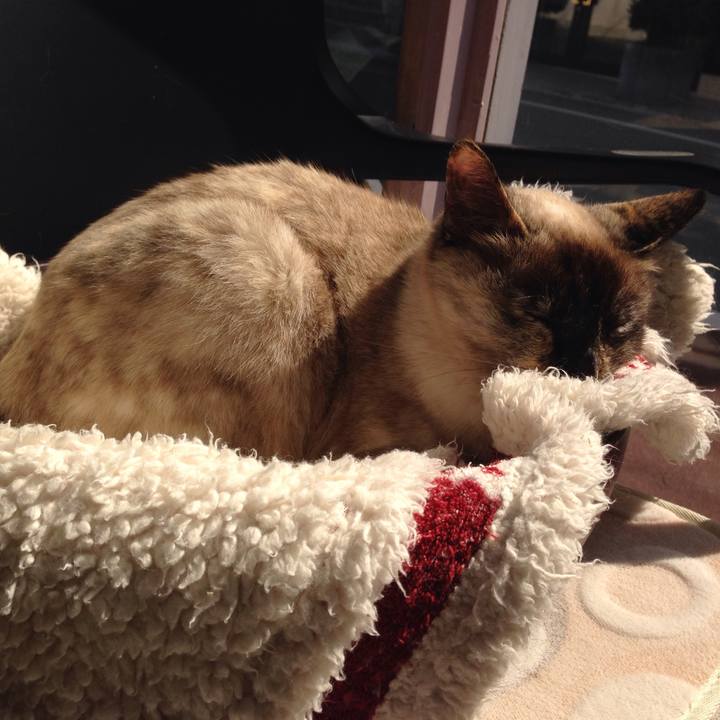 Ba3976f1 98db 46f5 b0df 14d3ea5434fc