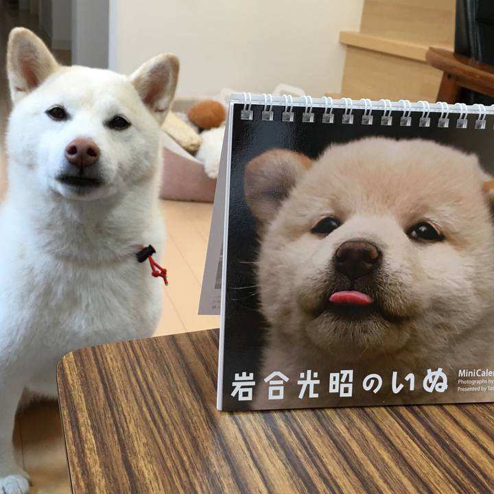 Ba3a7699 deb7 48db 9486 7cdcdebb4fa0