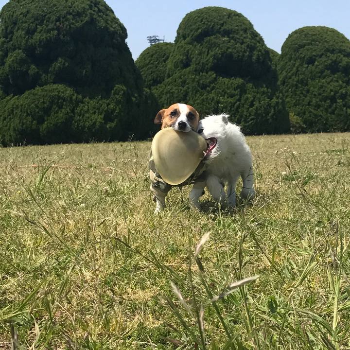 Ba3acd66 0c15 443d 8189 a7cc2a3f7cf6