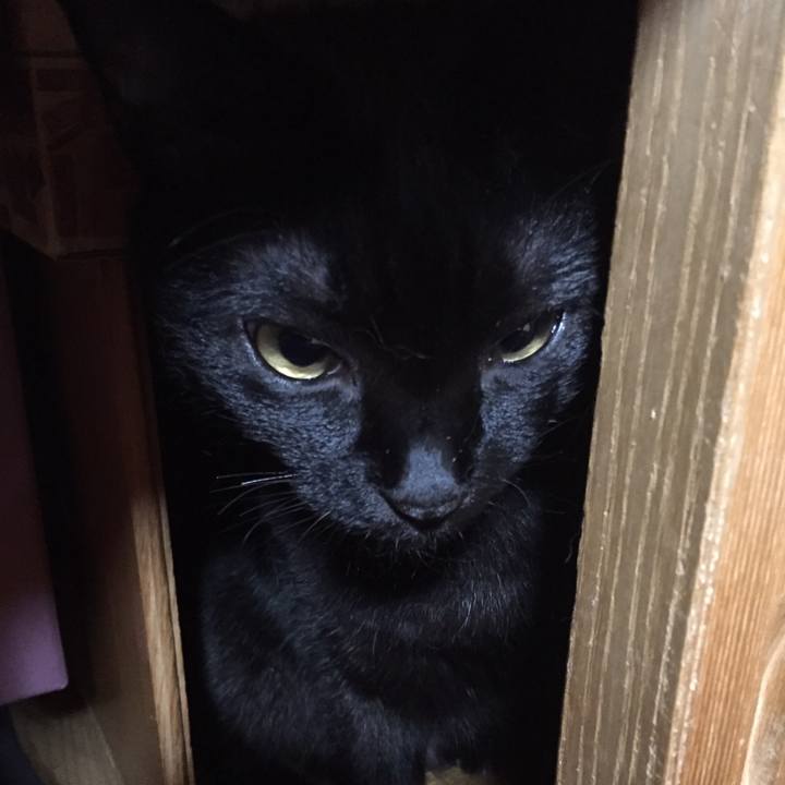 Ba3ad9e7 91dc 4e9b 9316 422beb04e574