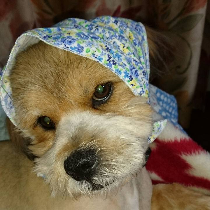 Ba3af045 d3cd 41fc ab42 750a28a9cd2d