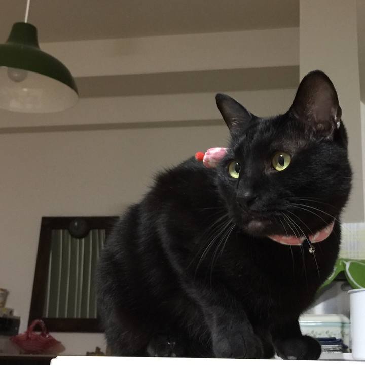 Ba3b599b e863 434b 897e 682bbb28a24b