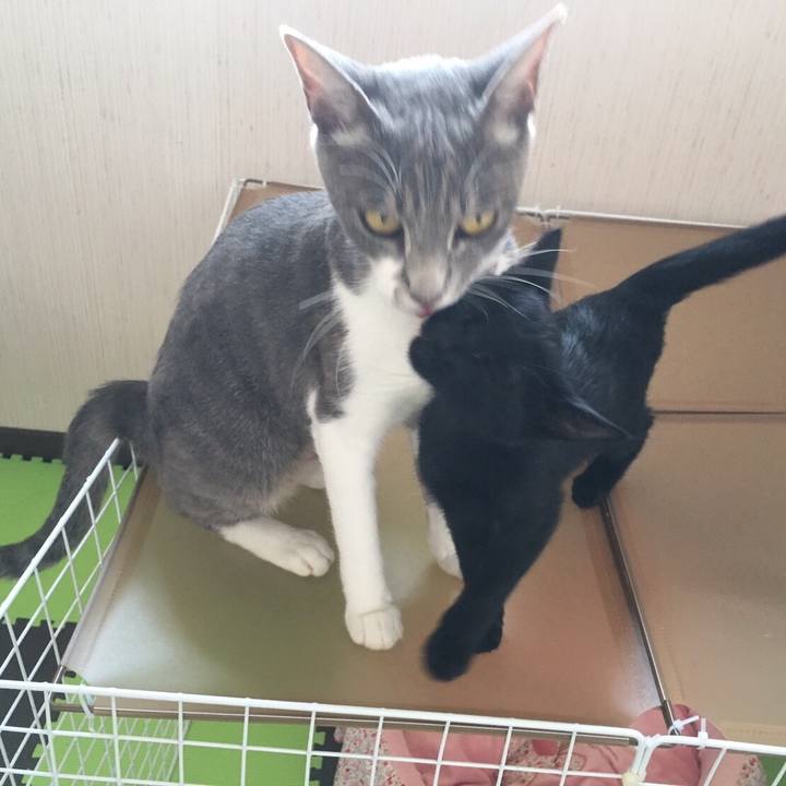 Ba3bd0c5 1996 4085 a6c7 8f63d503beca