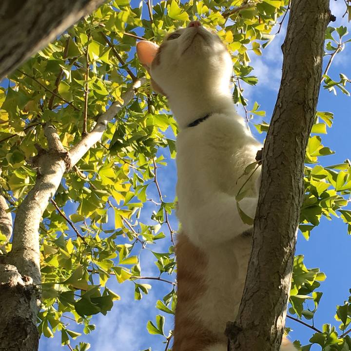 Ba3c02e0 a3d5 4f3e 8655 d31b43355d5c