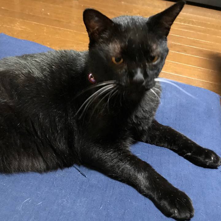 Ba3c0c0f e492 4c52 b9b8 8d95e3231775