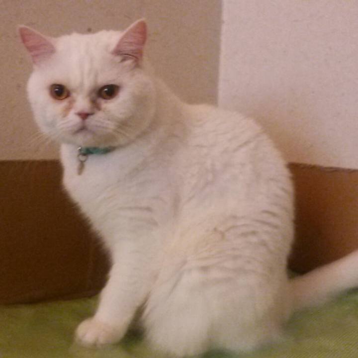 Ba3c5a23 ba93 4e59 a33c 434f1e746d1d