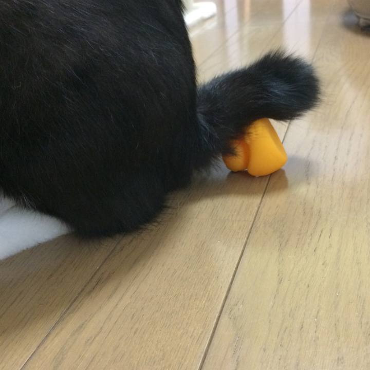 Ba3c66af df2d 41d0 8ef1 7a7053112011