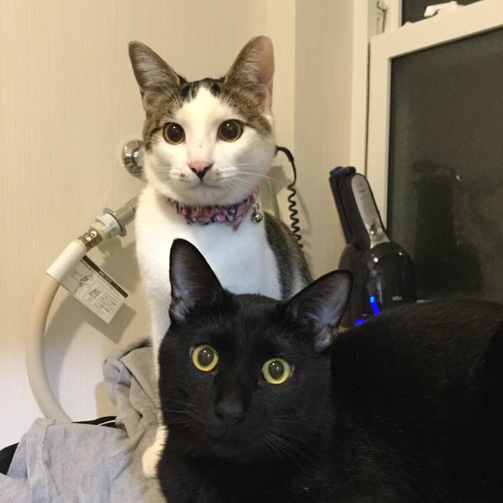 Ba3d3f90 bad9 47cd bc90 724fe78d675b